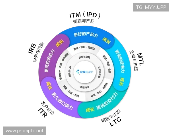 企业家引领创新发展推动企业高质量转型与持续竞争力提升路径研究